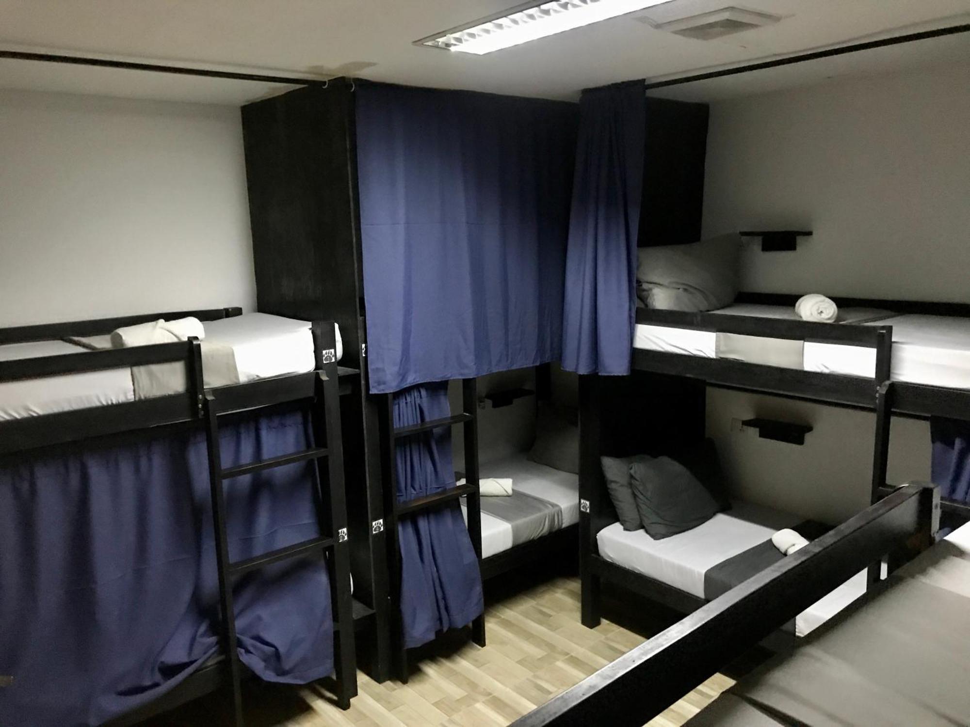 מואלבואל Crazy Bears Hostel מראה חיצוני תמונה