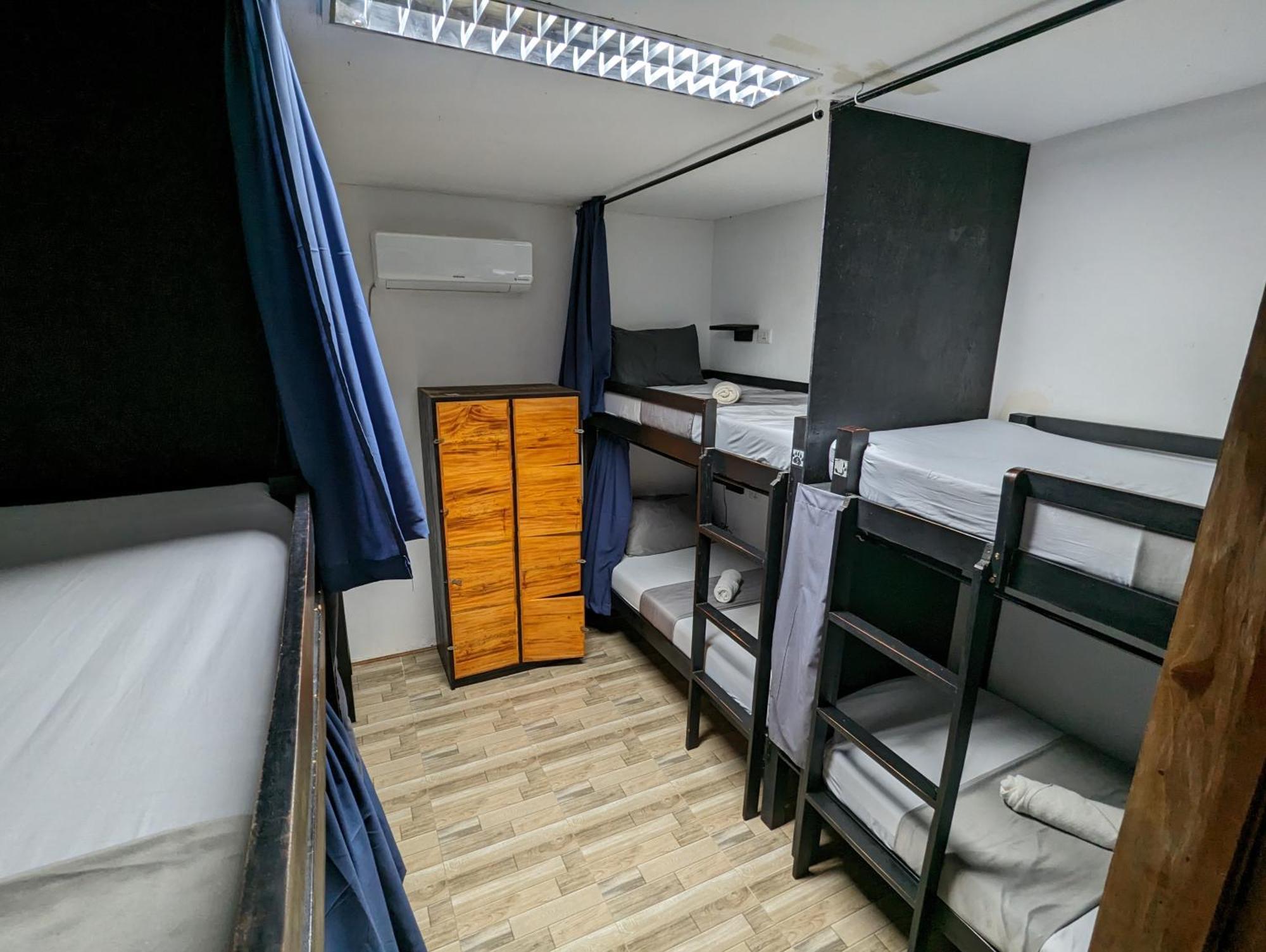 מואלבואל Crazy Bears Hostel מראה חיצוני תמונה