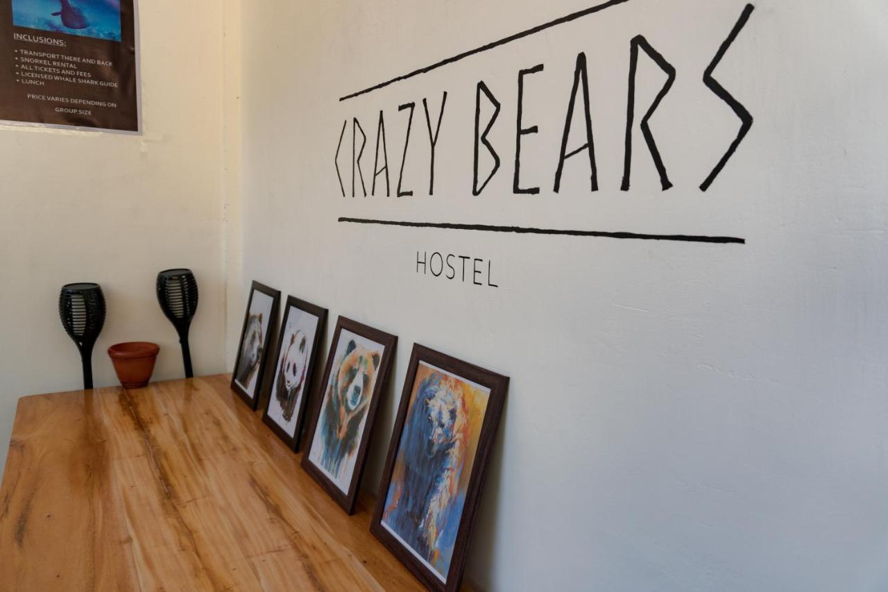 מואלבואל Crazy Bears Hostel מראה חיצוני תמונה