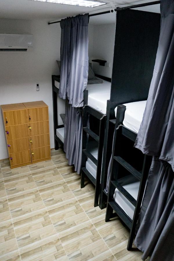 מואלבואל Crazy Bears Hostel מראה חיצוני תמונה